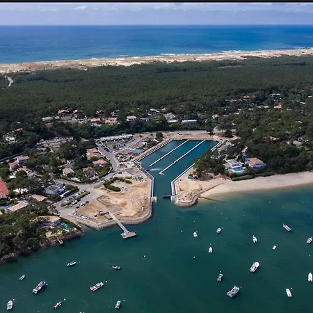 La Vigne * Lège-Cap-Ferret