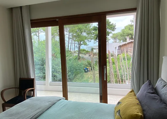 La Vigne * Lège-Cap-Ferret