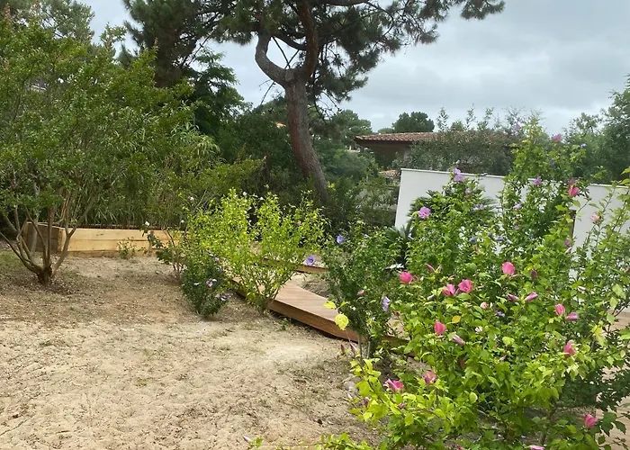 La Vigne