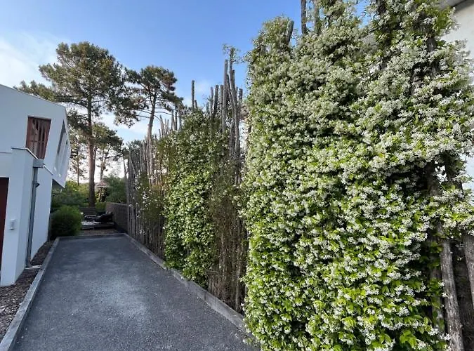 La Vigne *