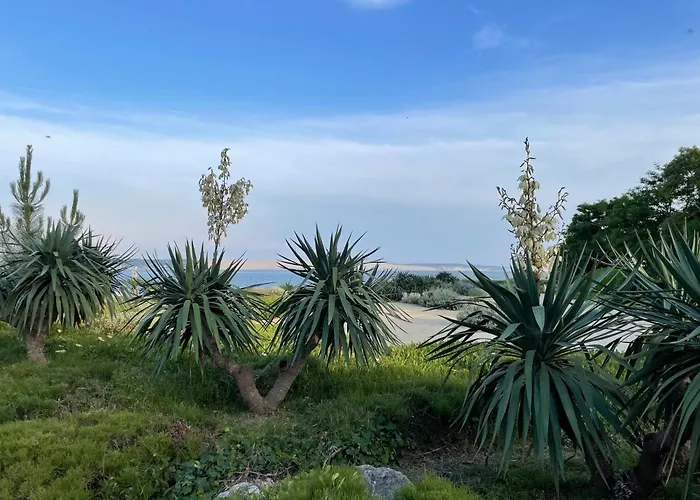 La Vigne فيلة Lège-Cap-Ferret