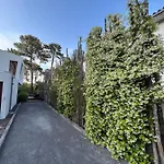 La Vigne *
