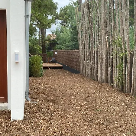 La Vigne