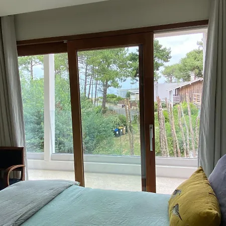 La Vigne * Lège-Cap-Ferret