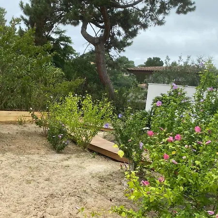 La Vigne