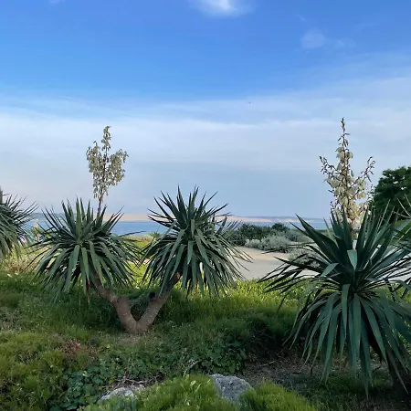 La Vigne Willa Lège-Cap-Ferret